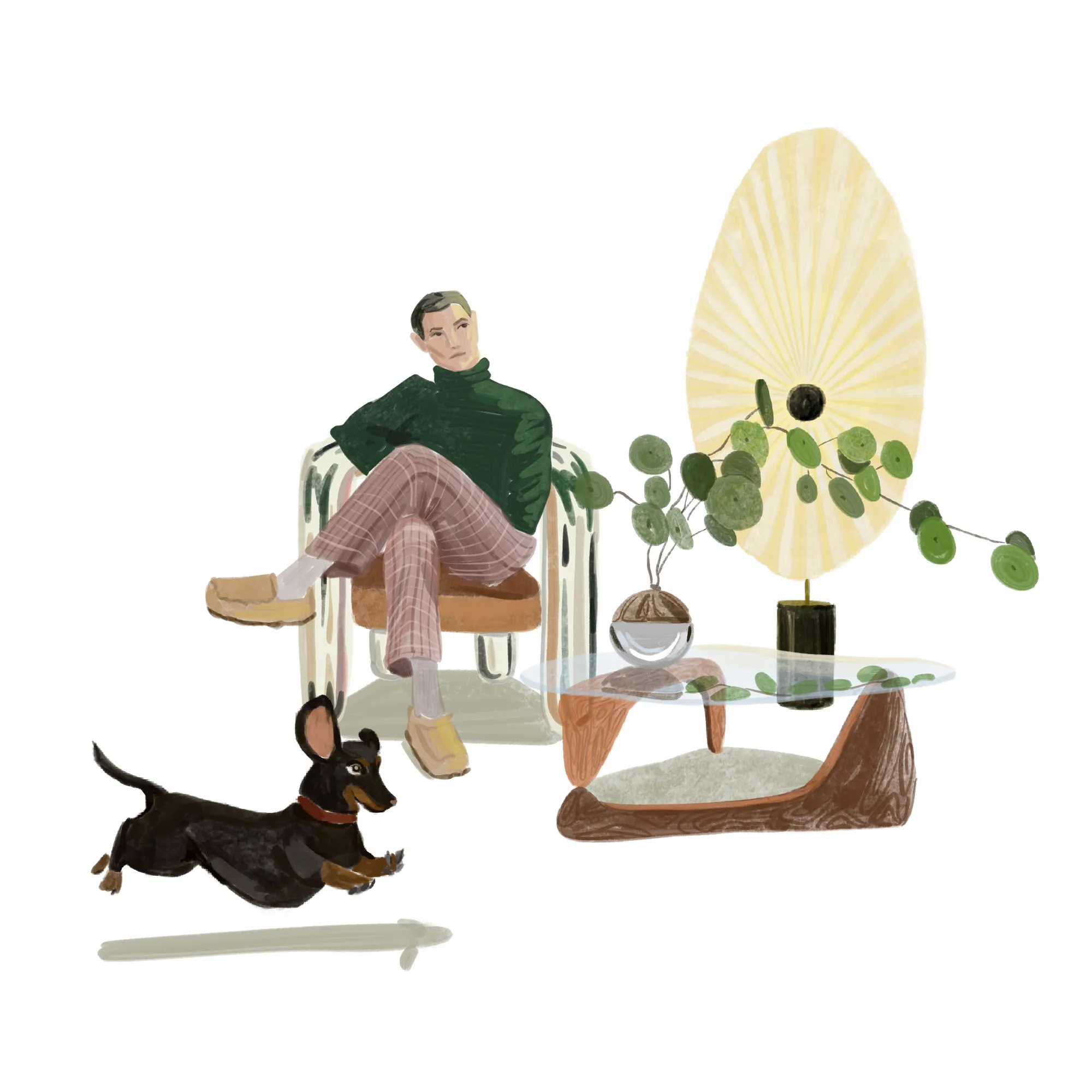 Afternoon with Pilea